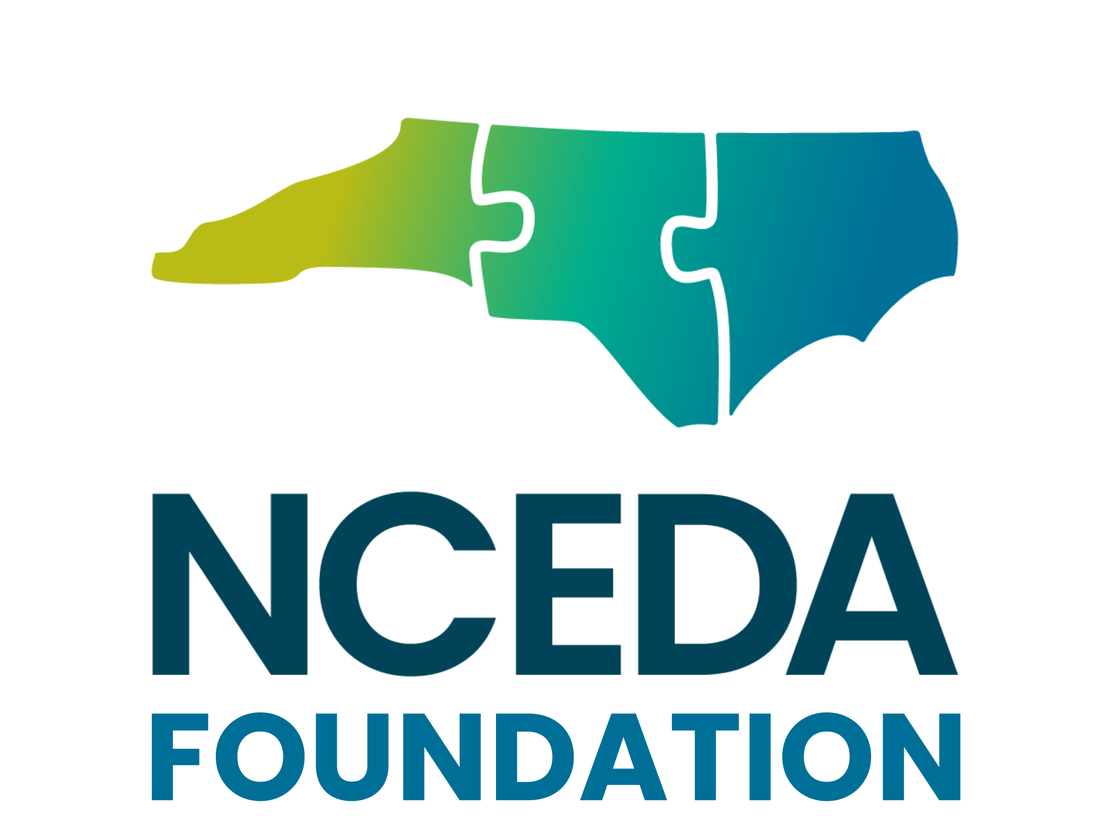 About the Foundation